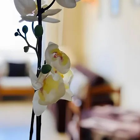 Cozy Playa Americas Appartement